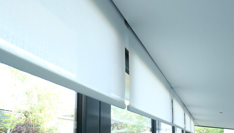 Concealed blind systems