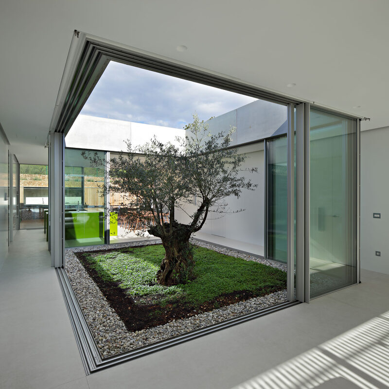 An idealistic interior courtyard bring the outside in