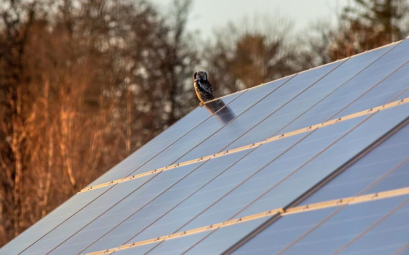 Solar panels to create an energy efficiency home