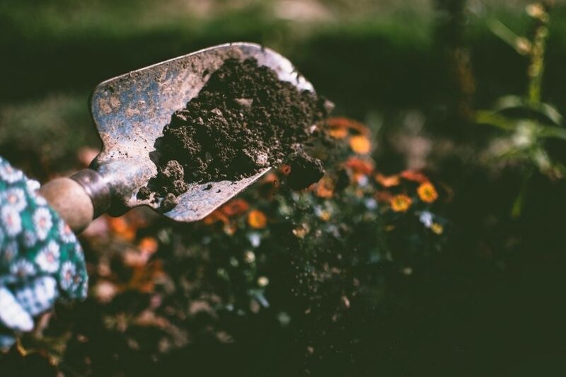 gardening with a trowel